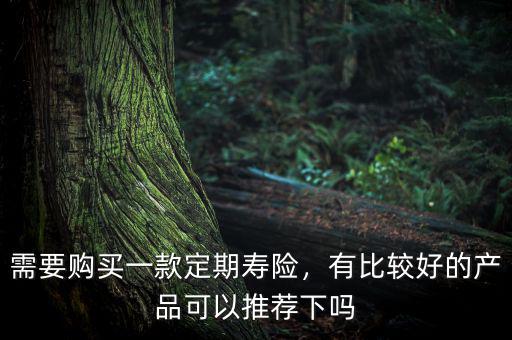 需要購買一款定期壽險，有比較好的產(chǎn)品可以推薦下嗎