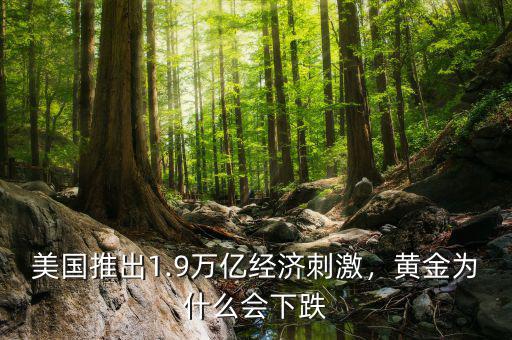 美國推出1.9萬億經(jīng)濟刺激，黃金為什么會下跌