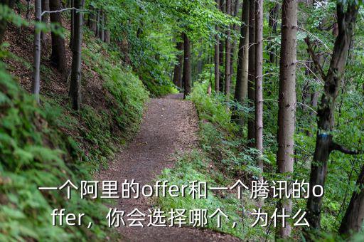 一個(gè)阿里的offer和一個(gè)騰訊的offer，你會(huì)選擇哪個(gè)，為什么