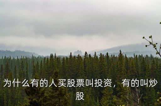 為什么有的人買(mǎi)股票叫投資，有的叫炒股