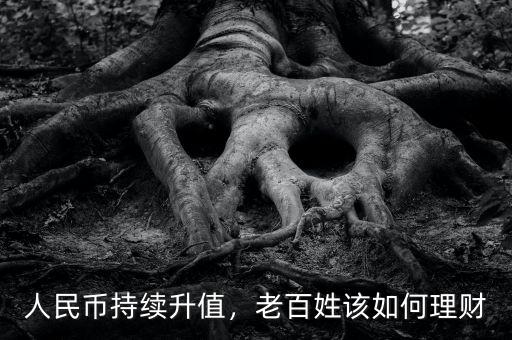 人民幣持續(xù)升值，老百姓該如何理財