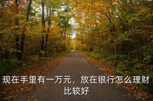 現(xiàn)在手里有一萬(wàn)元，放在銀行怎么理財(cái)比較好