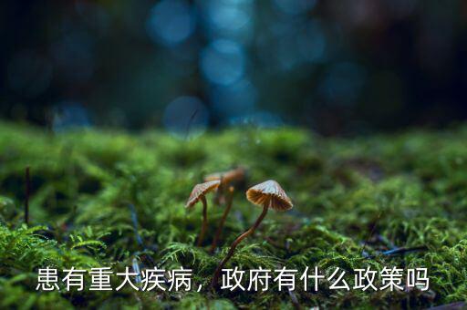 患有重大疾病，政府有什么政策嗎