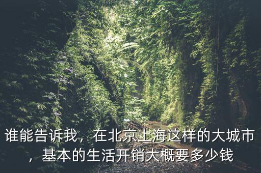 誰能告訴我，在北京上海這樣的大城市，基本的生活開銷大概要多少錢