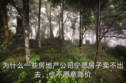 為什么一些房地產(chǎn)公司寧愿房子賣(mài)不出去，也不愿意降價(jià)
