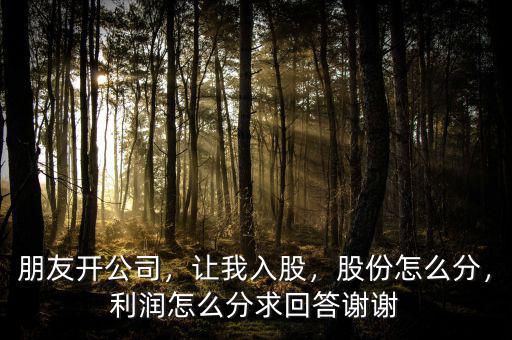 朋友開公司，讓我入股，股份怎么分，利潤怎么分求回答謝謝