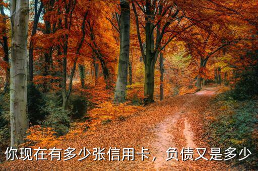 你現(xiàn)在有多少?gòu)埿庞每?，?fù)債又是多少