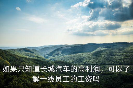 如果只知道長城汽車的高利潤，可以了解一線員工的工資嗎