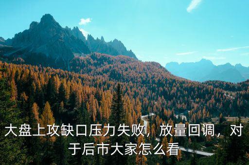 大盤上攻缺口壓力失敗，放量回調(diào)，對于后市大家怎么看