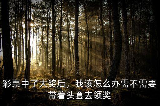彩票中了大獎后，我該怎么辦需不需要帶著頭套去領獎