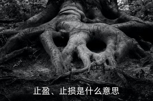 止盈、止損是什么意思