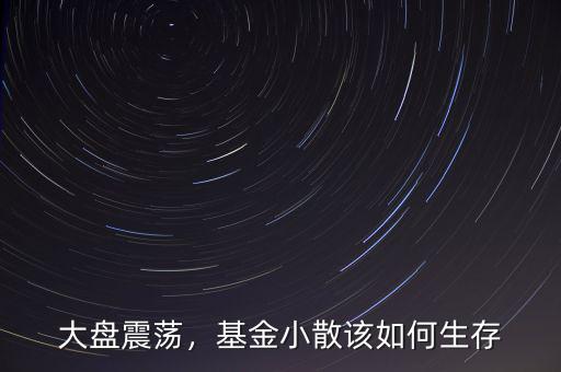 大盤震蕩，基金小散該如何生存