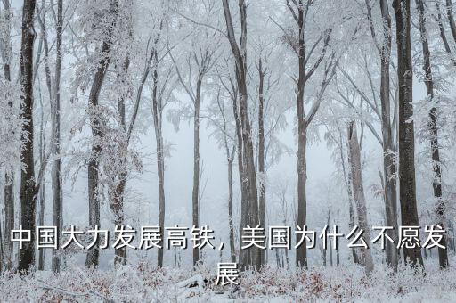 中國大力發(fā)展高鐵，美國為什么不愿發(fā)展