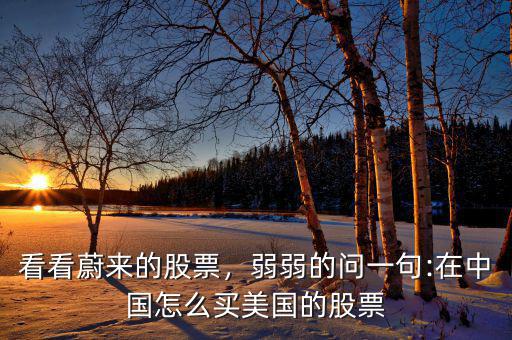 看看蔚來(lái)的股票，弱弱的問(wèn)一句:在中國(guó)怎么買(mǎi)美國(guó)的股票