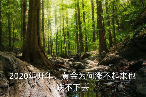 2020年開(kāi)年，黃金為何漲不起來(lái)也跌不下去