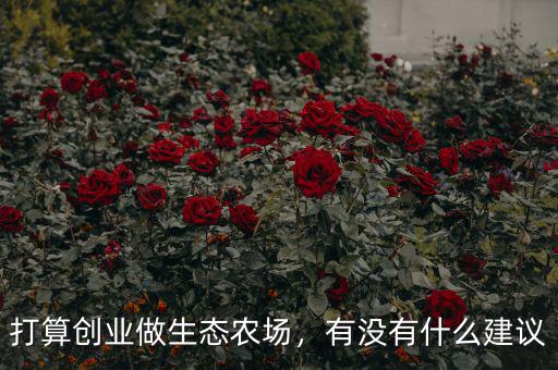 打算創(chuàng)業(yè)做生態(tài)農(nóng)場，有沒有什么建議