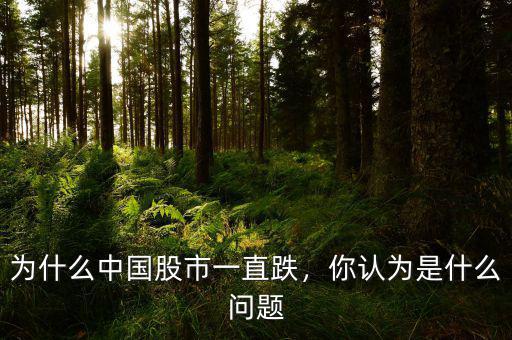 為什么中國股市一直跌，你認為是什么問題
