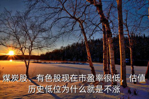 煤炭股、有色股現(xiàn)在市盈率很低，估值歷史低位為什么就是不漲