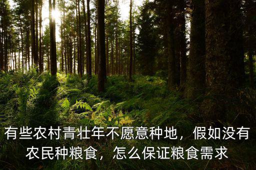 有些農(nóng)村青壯年不愿意種地，假如沒有農(nóng)民種糧食，怎么保證糧食需求