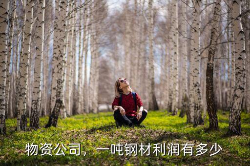 物資公司，一噸鋼材利潤(rùn)有多少