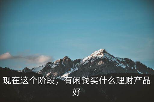 現(xiàn)在這個(gè)階段，有閑錢(qián)買(mǎi)什么理財(cái)產(chǎn)品好