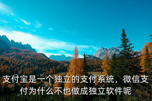 支付寶是一個獨立的支付系統(tǒng)，微信支付為什么不也做成獨立軟件呢