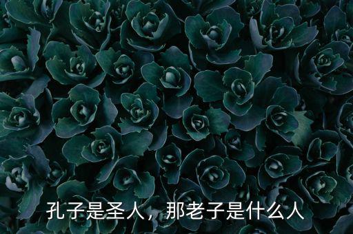孔子是圣人，那老子是什么人