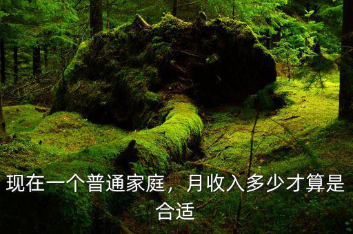 現(xiàn)在一個(gè)普通家庭，月收入多少才算是合適