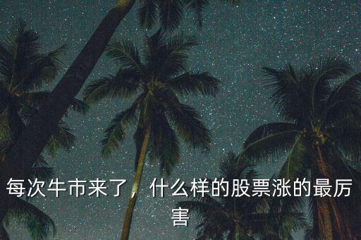 每次牛市來了，什么樣的股票漲的最厲害