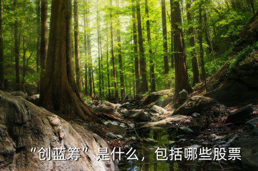 “創(chuàng)藍籌”是什么，包括哪些股票