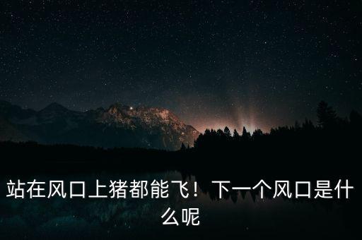 站在風(fēng)口上豬都能飛！下一個風(fēng)口是什么呢
