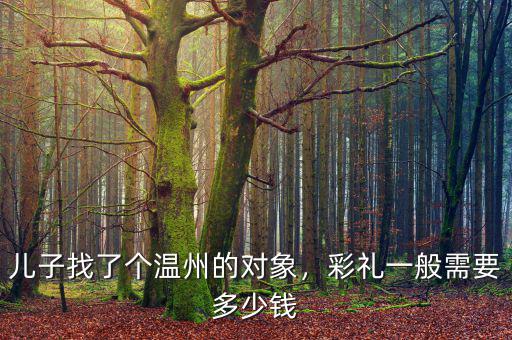 兒子找了個溫州的對象，彩禮一般需要多少錢