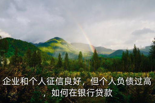 企業(yè)和個(gè)人征信良好，但個(gè)人負(fù)債過高，如何在銀行貸款