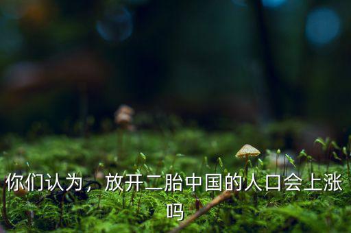 你們認(rèn)為，放開(kāi)二胎中國(guó)的人口會(huì)上漲嗎