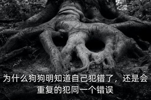 為什么狗狗明知道自己犯錯(cuò)了，還是會(huì)重復(fù)的犯同一個(gè)錯(cuò)誤