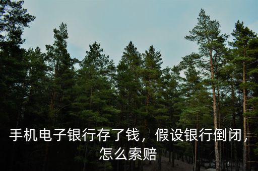 手機電子銀行存了錢，假設(shè)銀行倒閉，怎么索賠