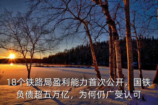 18個(gè)鐵路局盈利能力首次公開(kāi)，國(guó)鐵負(fù)債超五萬(wàn)億，為何仍廣受認(rèn)可