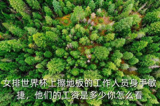 女排世界杯上擦地板的工作人員身手敏捷，他們的工資是多少你怎么看