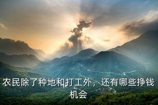 農(nóng)民除了種地和打工外，還有哪些掙錢機(jī)會(huì)