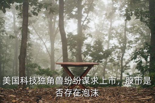 美國科技獨角獸紛紛謀求上市，股市是否存在泡沫