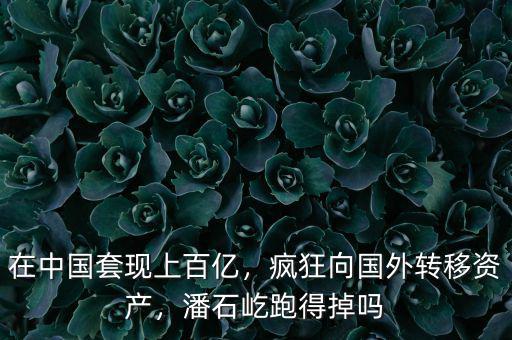 在中國(guó)套現(xiàn)上百億，瘋狂向國(guó)外轉(zhuǎn)移資產(chǎn)，潘石屹跑得掉嗎