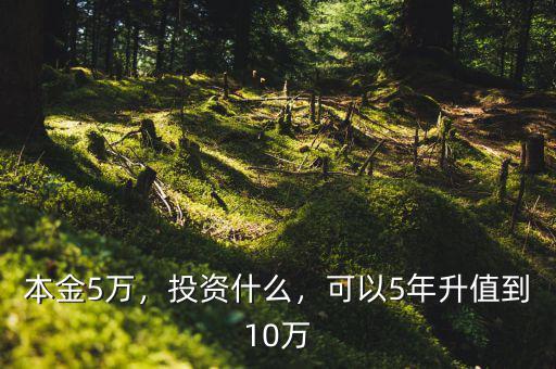 本金5萬，投資什么，可以5年升值到10萬