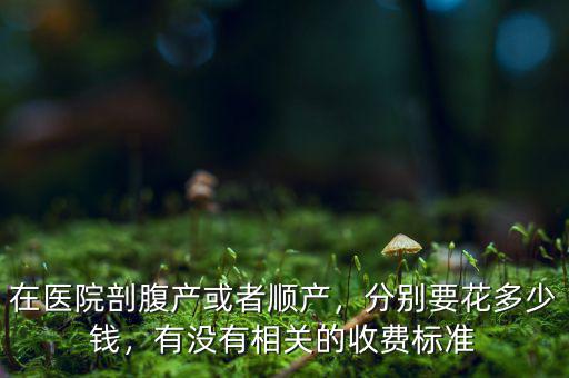 在醫(yī)院剖腹產(chǎn)或者順產(chǎn)，分別要花多少錢，有沒有相關(guān)的收費標準