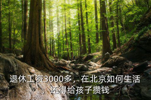退休工資3000多，在北京如何生活，還得給孩子攢錢