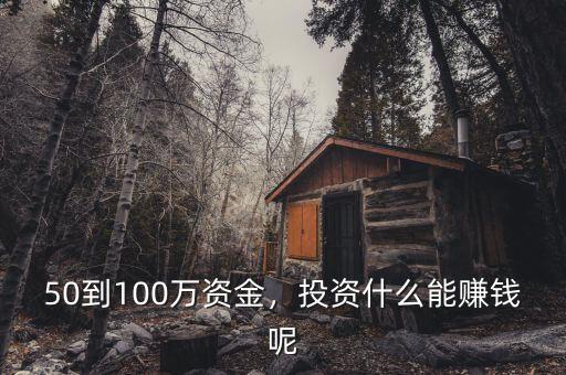 50到100萬資金，投資什么能賺錢呢