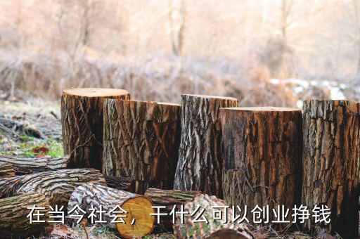 在當(dāng)今社會，干什么可以創(chuàng)業(yè)掙錢