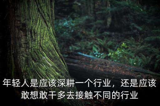 年輕人是應(yīng)該深耕一個(gè)行業(yè)，還是應(yīng)該敢想敢干多去接觸不同的行業(yè)
