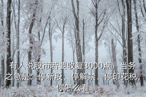 有人說股市若要收復3000點，當務之急是：停新股、停解禁、停印花稅，你怎么看