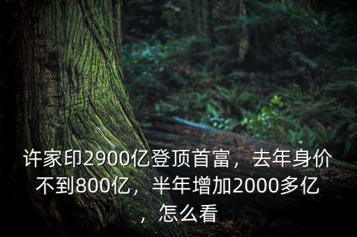 許家印2900億登頂首富，去年身價不到800億，半年增加2000多億，怎么看