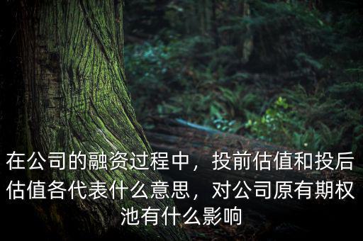 在公司的融資過程中，投前估值和投后估值各代表什么意思，對(duì)公司原有期權(quán)池有什么影響